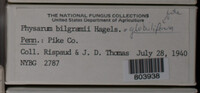 Image Associated With the Occurence